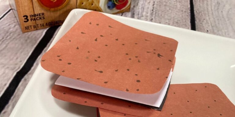 Smores Craft for Kids cover
